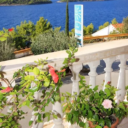 9227c * プリズバ