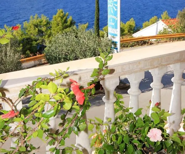 9227c * 普瑞兹巴